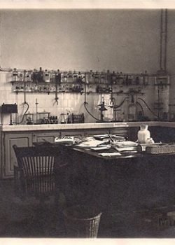1925 Despatx del Director farmacèutic.